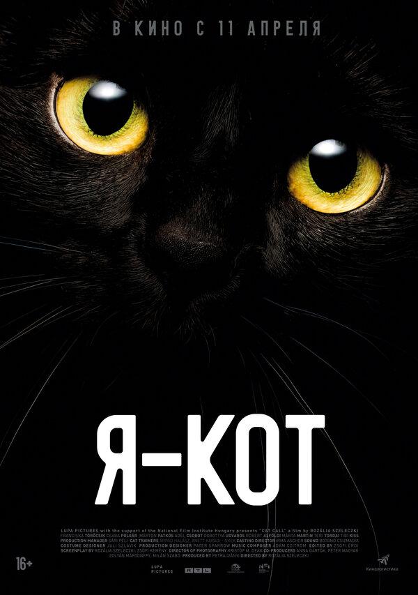 Я — кот  (16+)