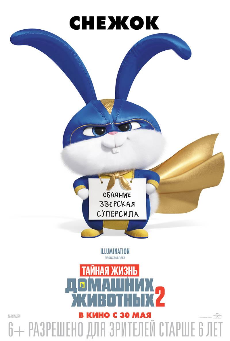 Тайная жизнь домашних животных 2 (6+)